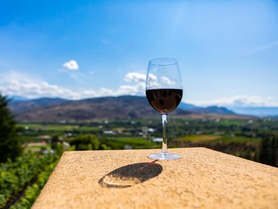 Pinot Noir_Bordeaux blends_OceněnáVína_CZ